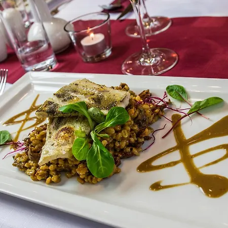 Hotel Horsky Celadenka / Mountain