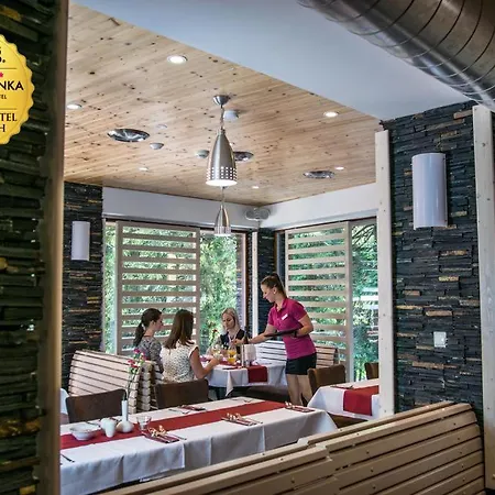 Hotel Horsky Celadenka / Mountain 4*