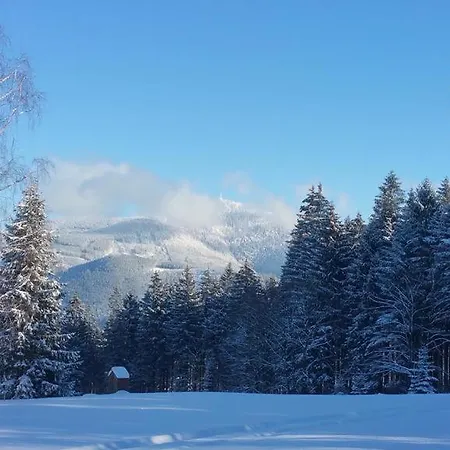 Horsky Celadenka / Mountain 4* Čeladná