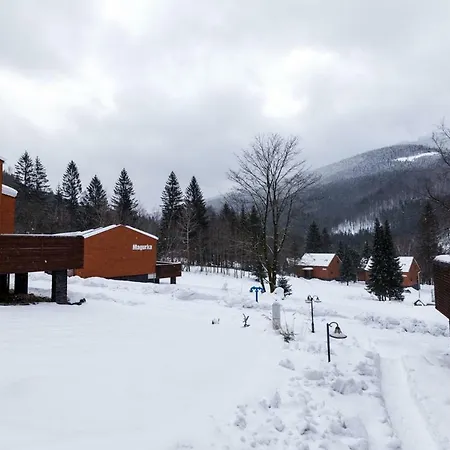 Hotel Horsky Celadenka / Mountain 4*