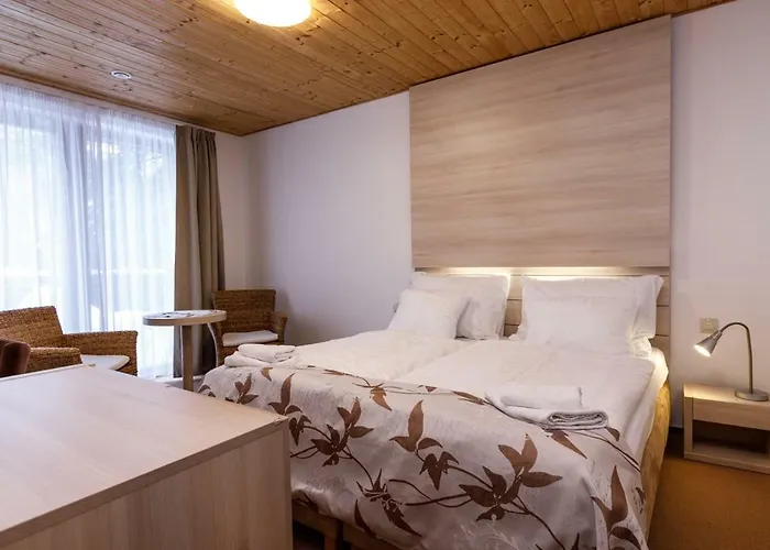 Hotel Horsky Celadenka / Mountain