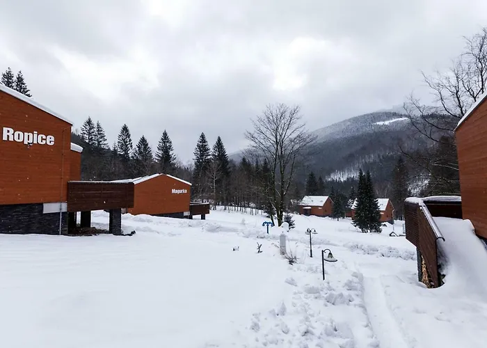 Hotel Horsky Celadenka / Mountain 4*